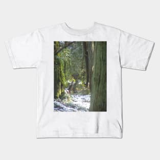 Forest Sun Rays in the Snow #46 Kids T-Shirt